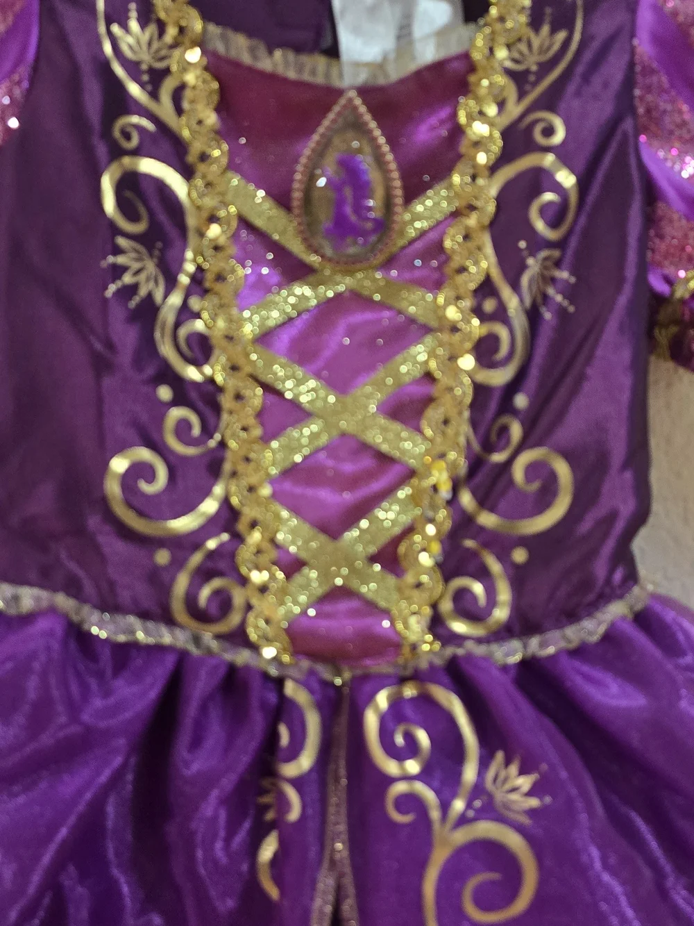 Disney Purple and Gold Princess Gown Costume